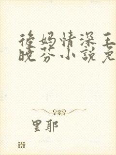 后妈情深王磊杨晓芬小说免费阅读全文