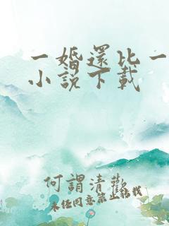 一婚还比一婚高小说下载
