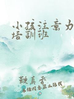 小孩注意力训练培训班