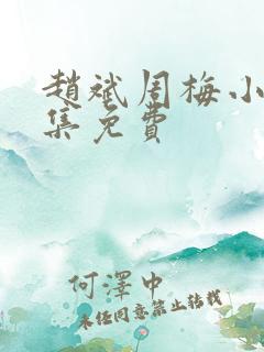 赵斌周梅小说全集免费