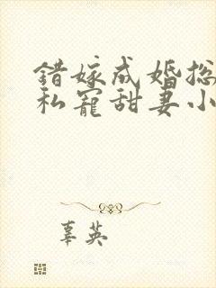 错嫁成婚总裁的私宠甜妻小说完整版