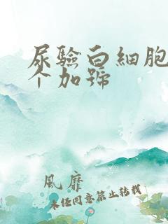 尿验白细胞有1个加号