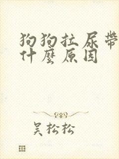 狗狗拉尿带血是什么原因