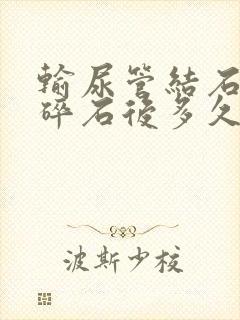 输尿管结石体外碎石后多久可以排出