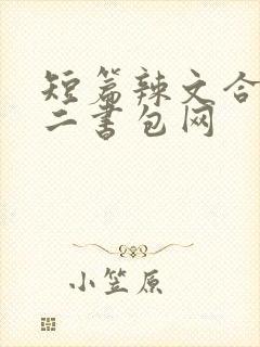 短篇辣文合集第二书包网