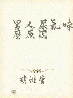 男人尿气味重什么原因