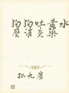 狗狗吐黄水吃什么消炎药