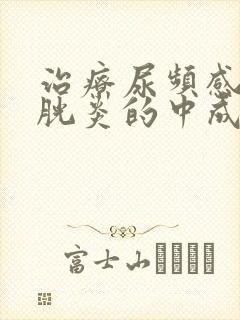 治疗尿频感染膀胱炎的中成药