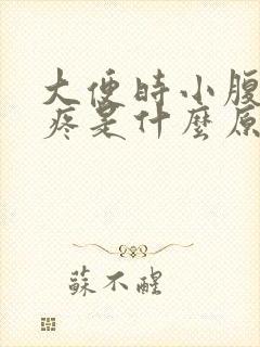 大便时小腹下坠疼是什么原因