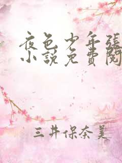 夜色少年张小兵小说免费阅读全文