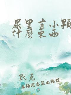 尿里有小颗粒是什么东西