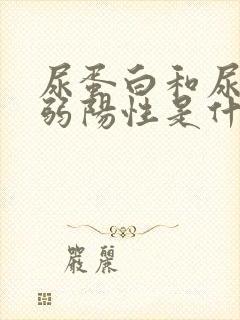 尿蛋白和尿隐血弱阳性是什么意思