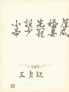 小说先婚厚爱:帝少宠妻成瘾