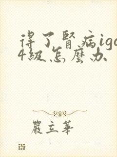 得了肾病iga4级怎么办