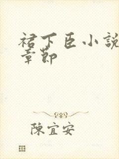 裙下臣小说最新章节