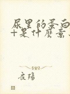 尿里的蛋白质3+是什么意思