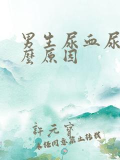 男生尿血尿是什么原因