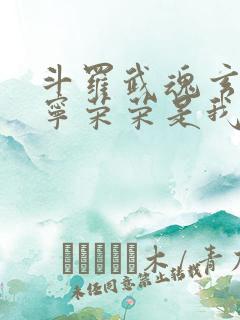 斗罗武魂玄黄塔宁荣荣是我妹小说免费阅读