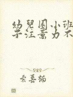 幼儿园小班的孩子注意力不集中