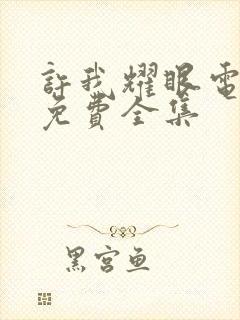 许我耀眼电视剧免费全集