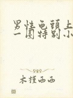 男性龟头上长了一圈特别小的肉刺