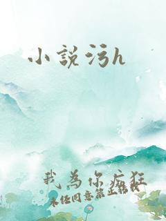 小说污h