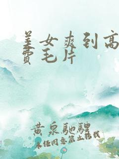 美女爽到高潮免费毛片