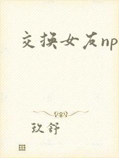 交换女友nph