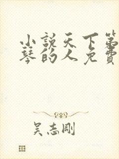 小说天下第一抚琴的人免费全文阅读下载