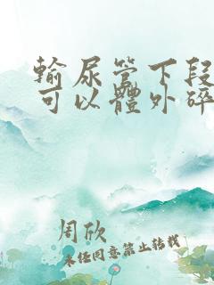 输尿管下段结石可以体外碎石能排出来吗