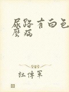 尿路有白色浓什么病