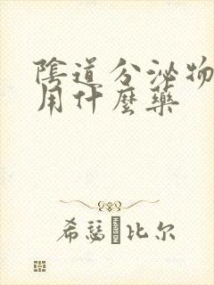 阴道分泌物增多用什么药