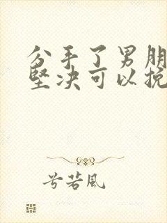 分手了男朋友很坚决可以挽回吗