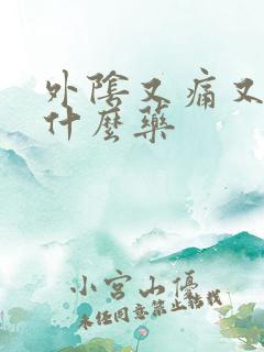 外阴又痛又痒用什么药