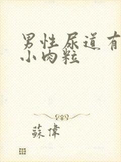 男性尿道有两个小肉粒