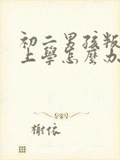 初二男孩叛逆不上学怎么办