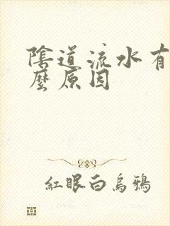 阴道流水有味什么原因