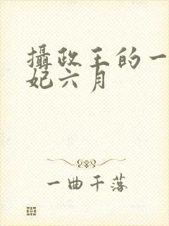 摄政王的一品狂妃六月