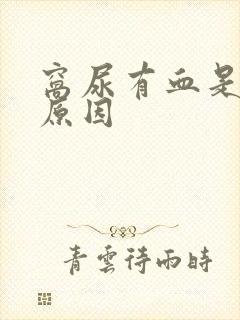 窝尿有血是什么原因