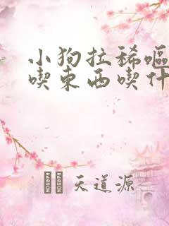 小狗拉稀呕吐不吃东西吃什么药