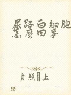 尿路白细胞高是怎么回事