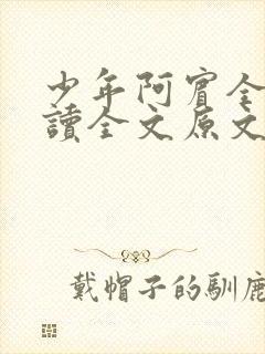 少年阿宾全文阅读全文原文