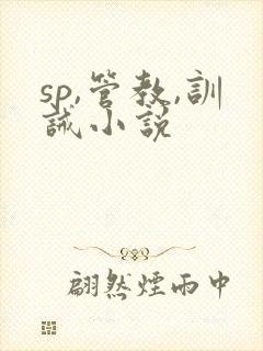 sp,管教,训诫小说