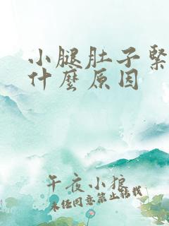 小腿肚子紧绷是什么原因