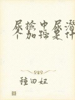 尿检中尿潜血3个加号是什么原因