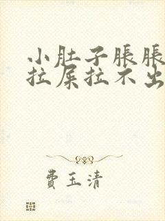 小肚子胀胀的想拉屎拉不出来