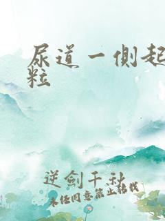 尿道一侧起小肉粒