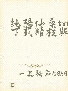 纯阳仙尊txt下载精校版