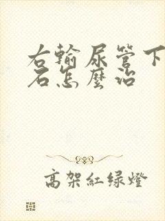 右输尿管下段结石怎么治