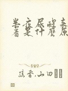 半夜尿醒来睡不着是什么原因导致的